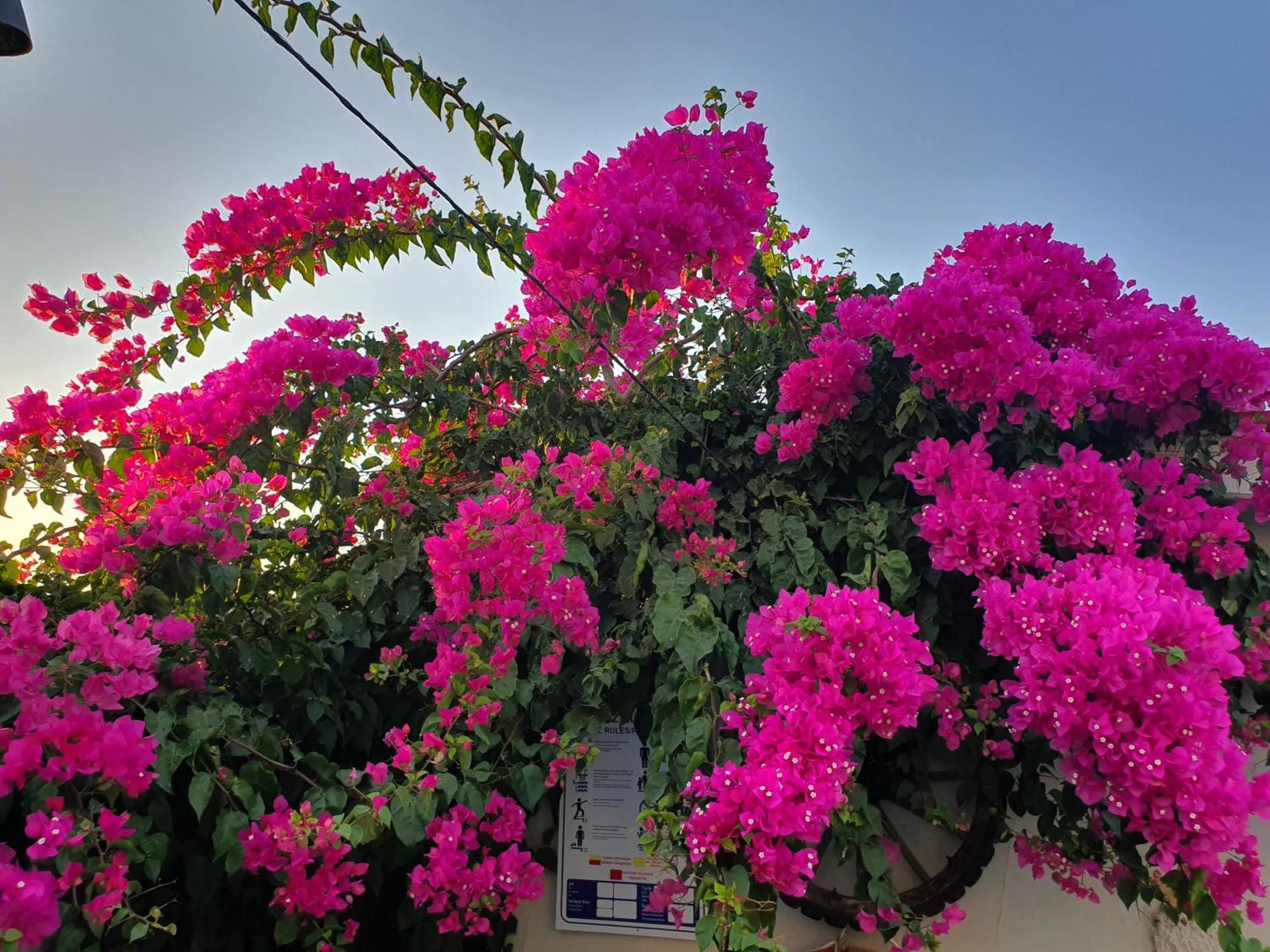 Cassiopeia Otel Alaçatı Exterior foto