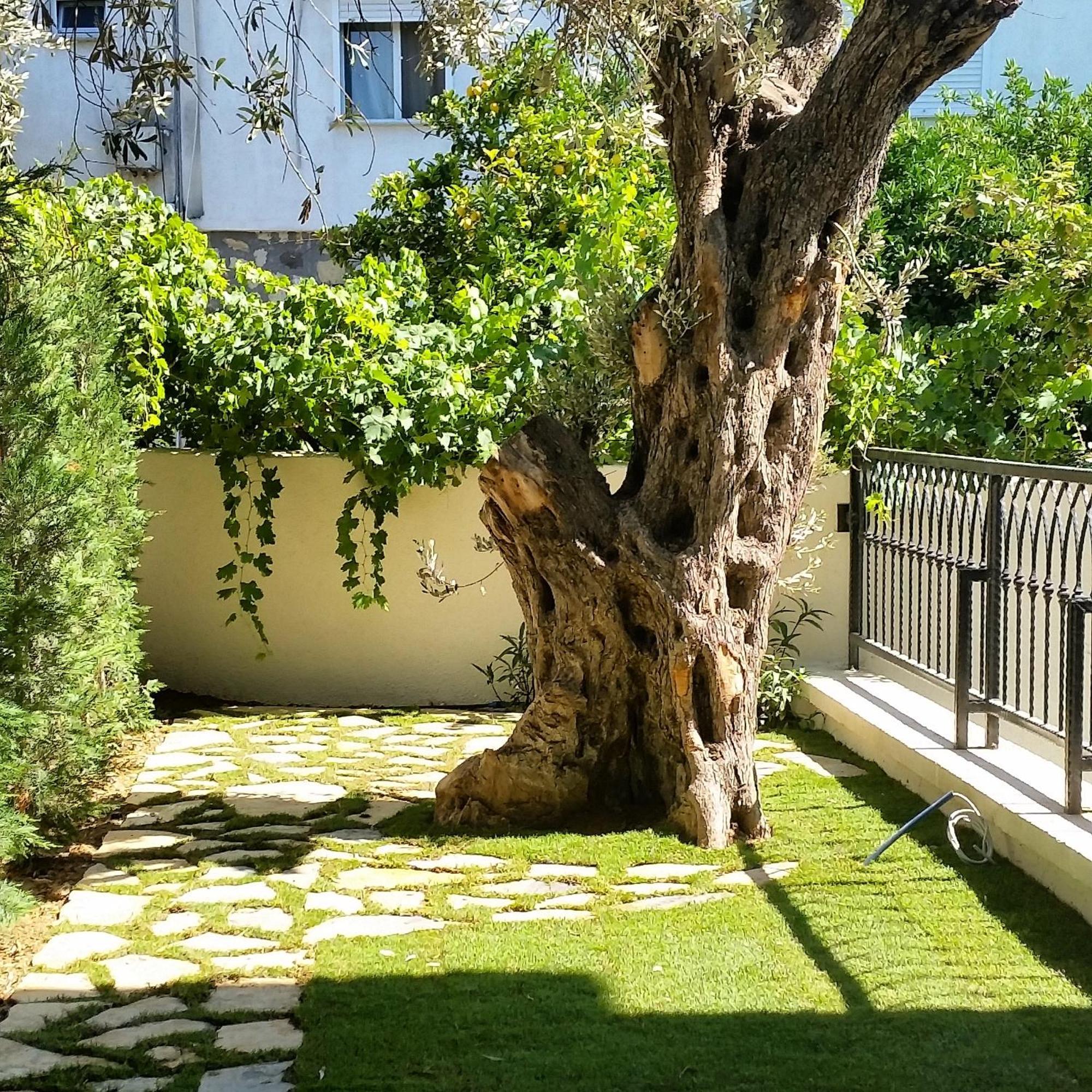 Cassiopeia Otel Alaçatı Exterior foto