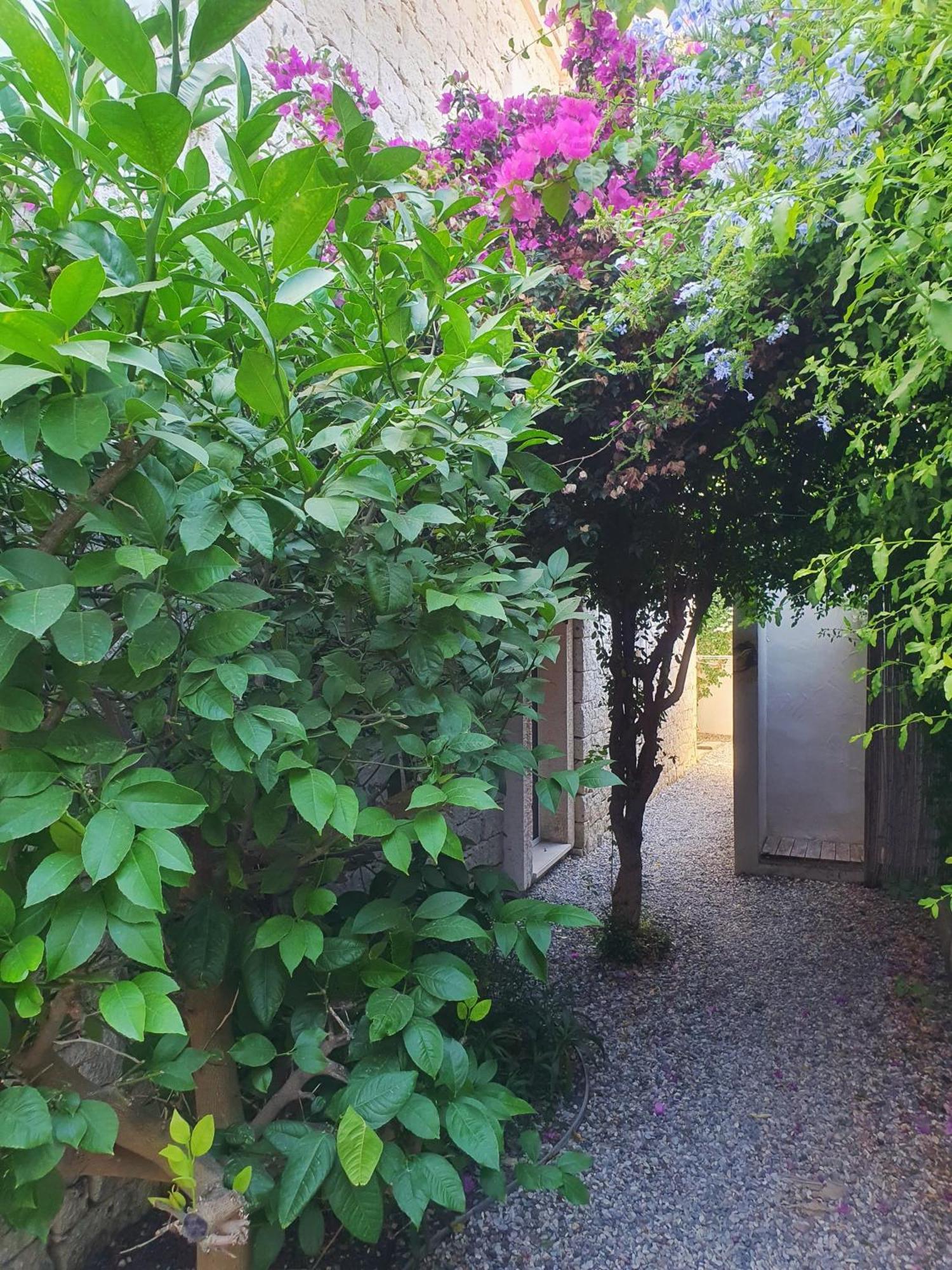 Cassiopeia Otel Alaçatı Exterior foto